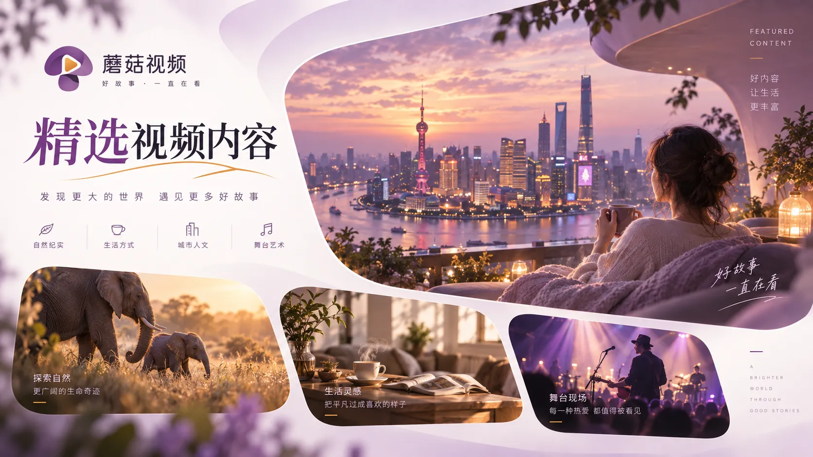 蘑菇视频电影与剧集观看内容整理